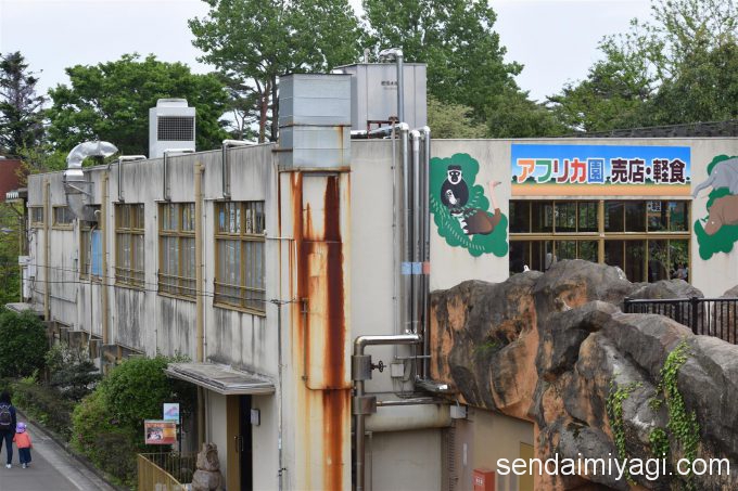 2016/5/14 仙台市八木山動物公園 写真