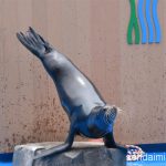 2016/6/21 仙台うみの杜水族館 写真