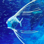 仙台うみの杜水族館 イトヒキアジ 動画