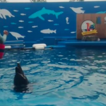 仙台うみの杜水族館ドルフィン・スプラッシュ 動画