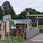 2016/7/20 仙台市八木山動物公園 写真